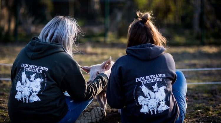 Outils et merchandising pour associations