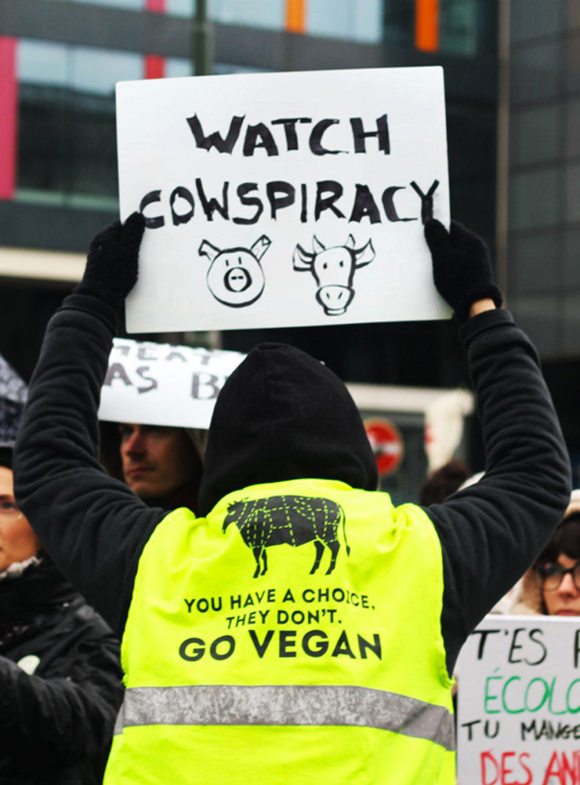 Gilet - Slogan Vegan - "Go Vegan..."