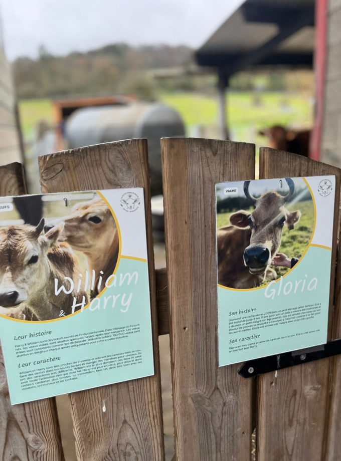 Petits panneaux en PVC