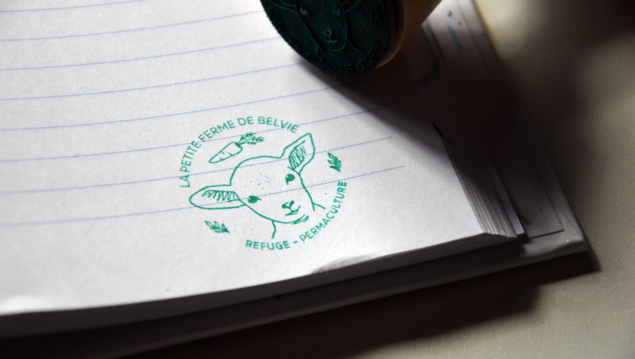 Création logo + cachet
