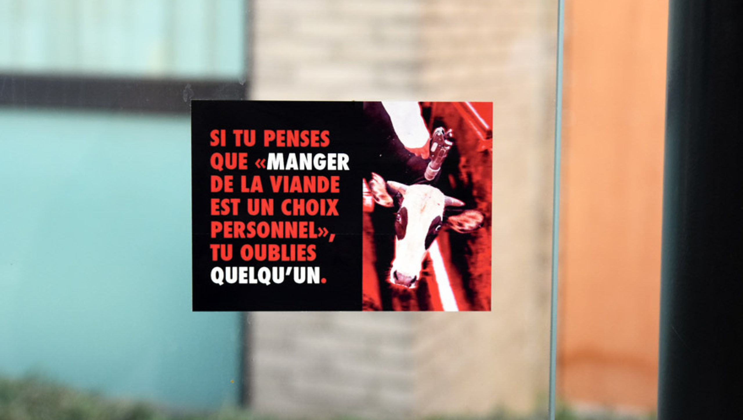 Sticker pour campagne