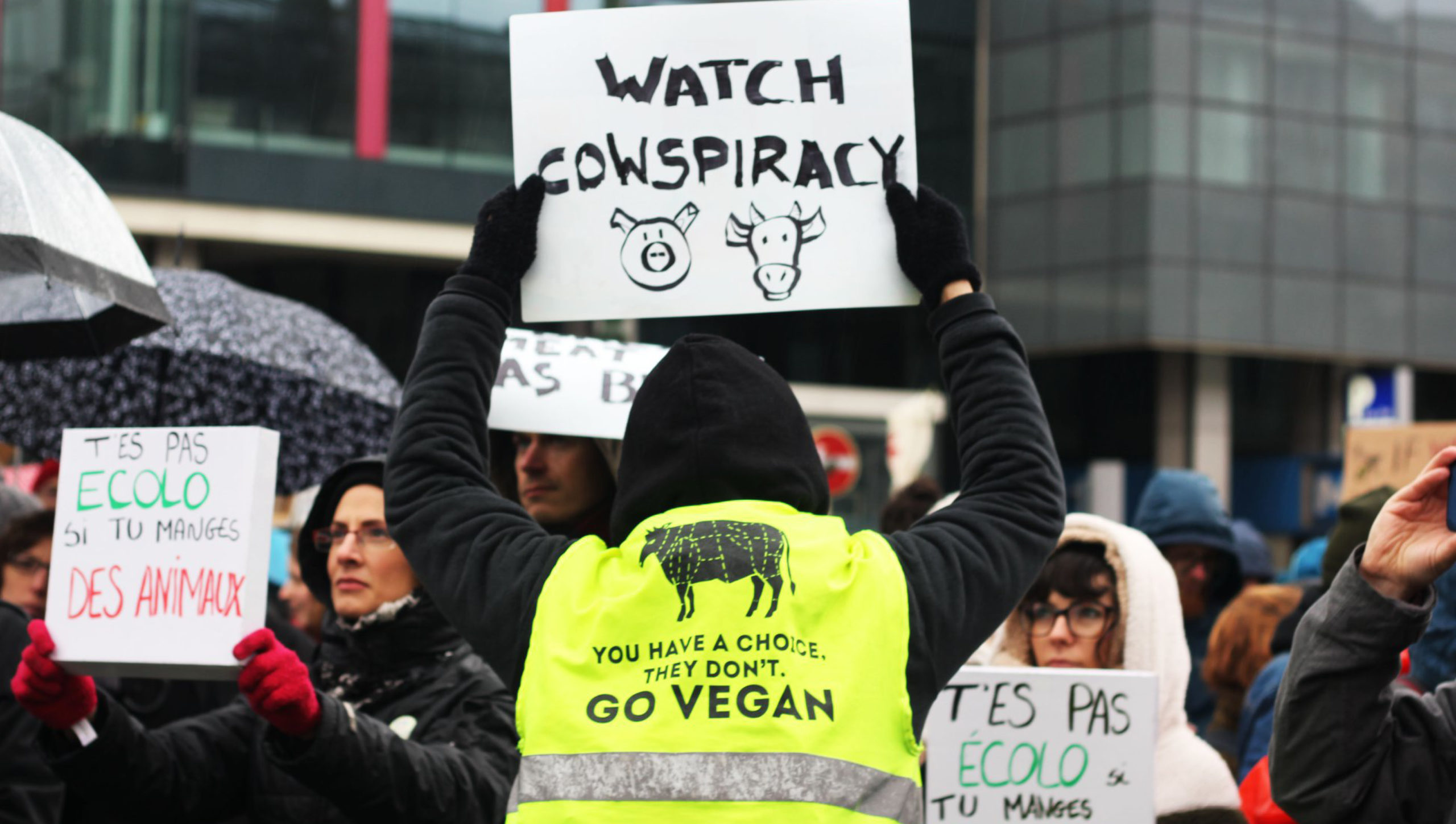 Impression sur gilet jaune