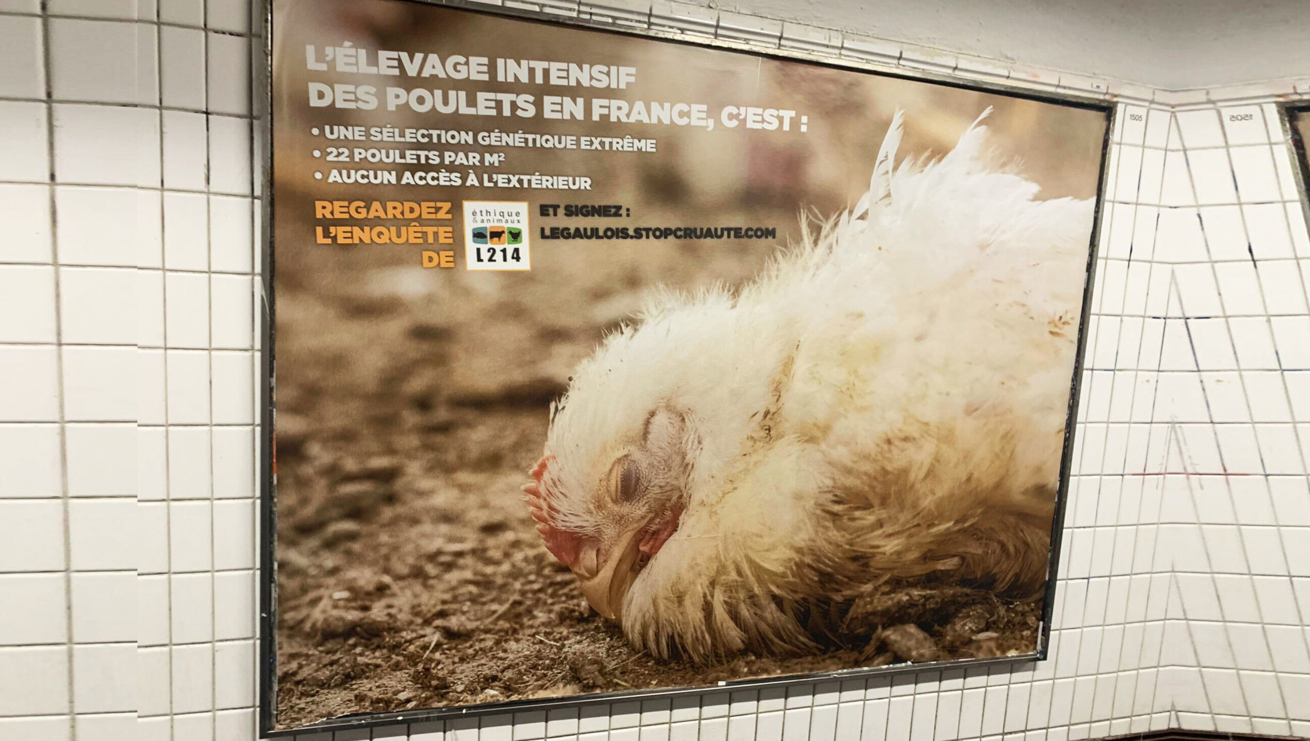 Conception affiche L214