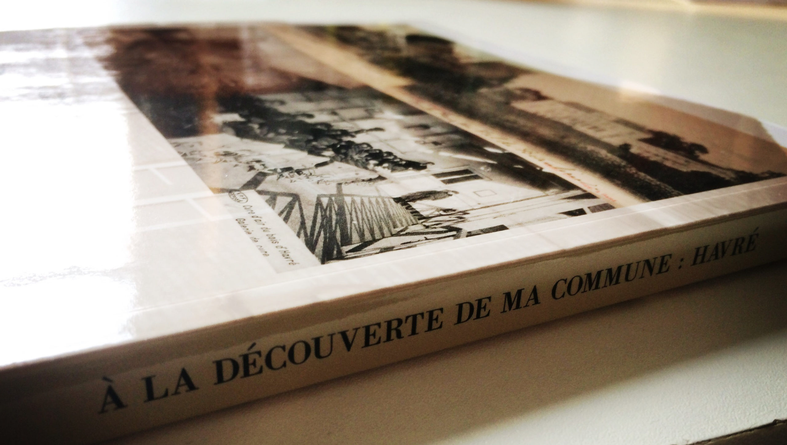 Création du layout et mise en page / Livre patrimoine